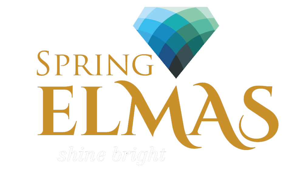 Spring Elmas logo